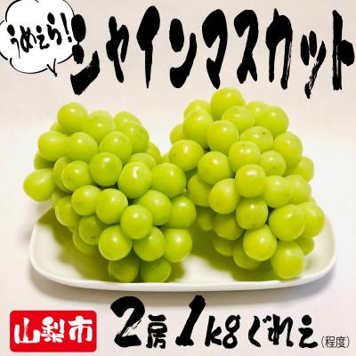 ふるさと納税 山梨市 山梨市・とれたてシャインマスカット農家直送(2房合計1kg程度)