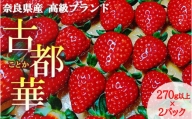 奈良県産高級ブランド　古都華※2024年4月中旬頃までに順次発送予定※着日指定不可