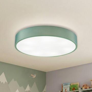 E27 LED*7 簡約綠吸頂燈｜F57-EE0105