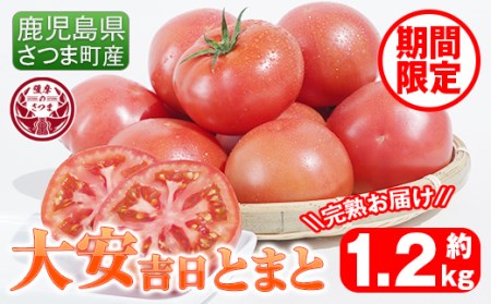 s199 さつま町産の大安吉日とまと(約1.2kg)完熟してから収穫した採れたてのトマトをお届け