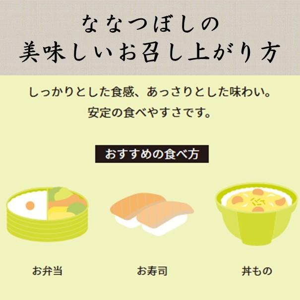 令和5年産 新米 ななつぼし 5kg 北海道米 一等米 特別栽培米 減農薬 選べる精米度 出荷前に精米  函館北斗 直送 白米 玄米 分づき米 人気銘柄 お歳暮