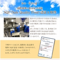 馬肉デミハンバーグ 200g×8個 計1.6kg 千興ファーム 馬肉 冷凍  《60日以内に順次出荷(土日祝除く)》 ジューシー デミグラスソース 肉 熊本県御船町 馬肉 惣菜 お弁当