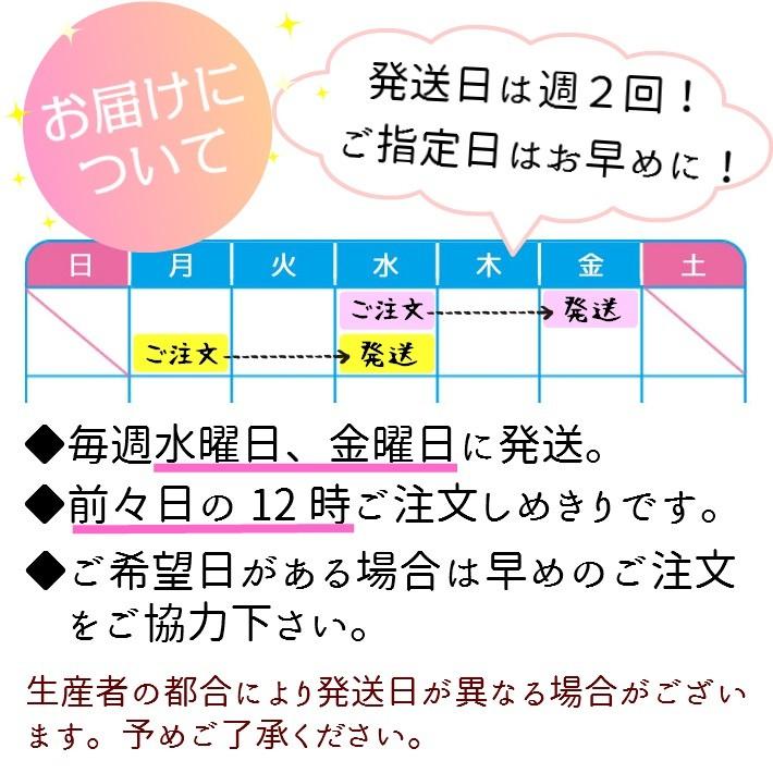 山形県かほくイタリア野菜お試しセット 4〜6種類入り 送料無料