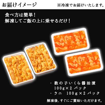 ふるさと納税 弟子屈町 数の子いくら醤油漬け 200g  うに 200g 約4人前 北海道 弟子屈町 1253