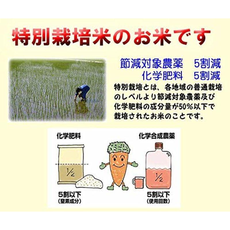 令和4年産 特別栽培米 富山県産 富富富 10kg (5kg×2) ふふふ (玄米のまま 5kg×2袋でお届け)