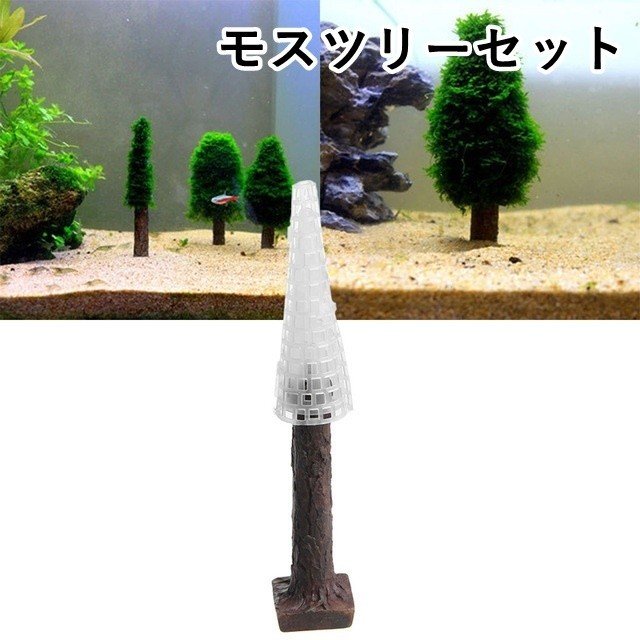 モスツリーセット 水草が育つ 水草育成 水槽用 苔 グリーングラス アクアリウム プラント プランツ 水中 内装 観賞魚 熱帯魚 環境 飼育 構築 底 通販 Lineポイント最大0 5 Get Lineショッピング