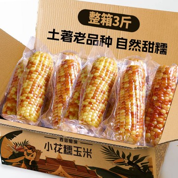 台灣✨滇二娃云南西双版纳小花糯玉米新鲜真空低代餐即食脂粗粮甜糯玉米