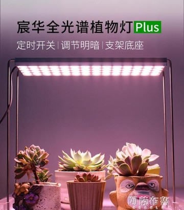 樂天精選~植物燈宸華全光譜多肉補光燈陽台上色防徒植物生長家用蔬菜育苗立柱定時- 雙11全館免運