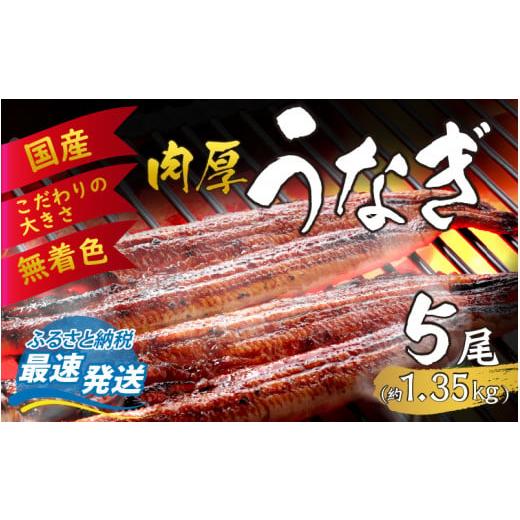 ふるさと納税 福井県 福井市 国産 活うなぎ蒲焼 約1.35kg (約270g×5尾)  [F-124006]