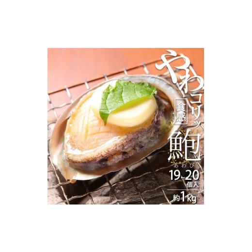 ふるさと納税 和歌山県 湯浅町 ZG6012_やわコリ食感紀州活アワビ 約1kg 