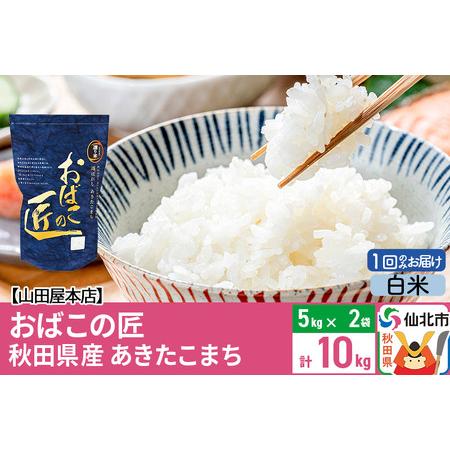 ふるさと納税 令和5年産 仙北市産 おばこの匠 10kg秋田県産あきたこまち 秋田県仙北市