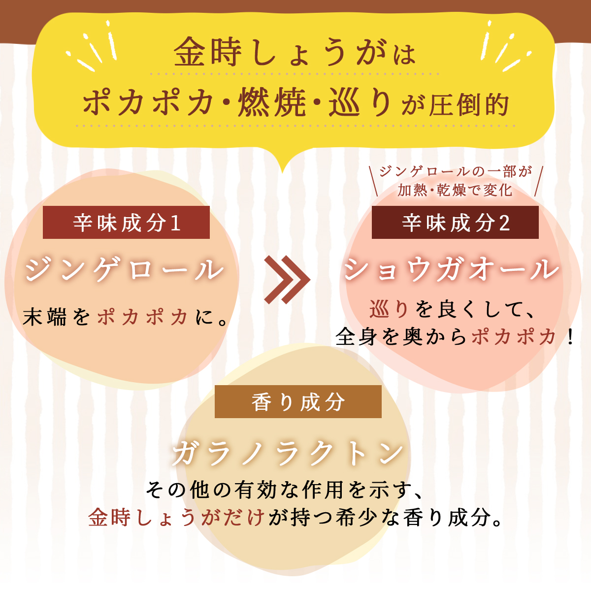 金時しょうが 粒タイプ 120粒 無添加・無農薬栽培された純粋な金時ショウガを使用！