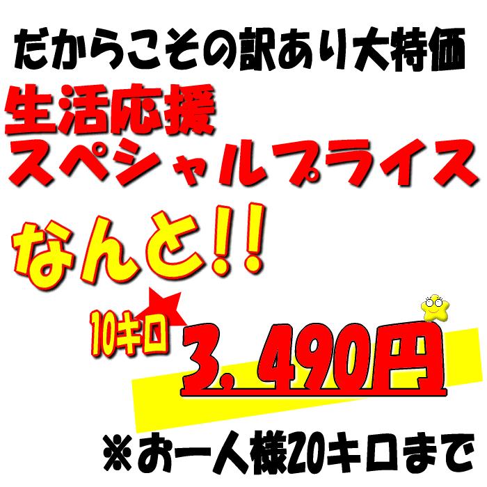 訳あり 新潟県産 中米 コシヒカリ 10kg 従来コシヒカリ 令和5年産