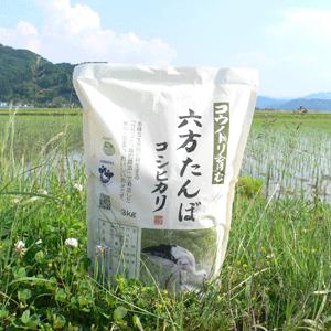 新米 コシヒカリ 玄米 3kg こうのとり米 令和5年産 送料無料 兵庫県産