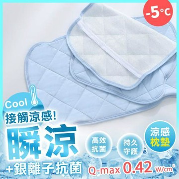 鴻宇 瞬涼銀離子抗菌-涼感枕墊 枕頭保潔墊 2入 SUPERCOOL接觸涼感