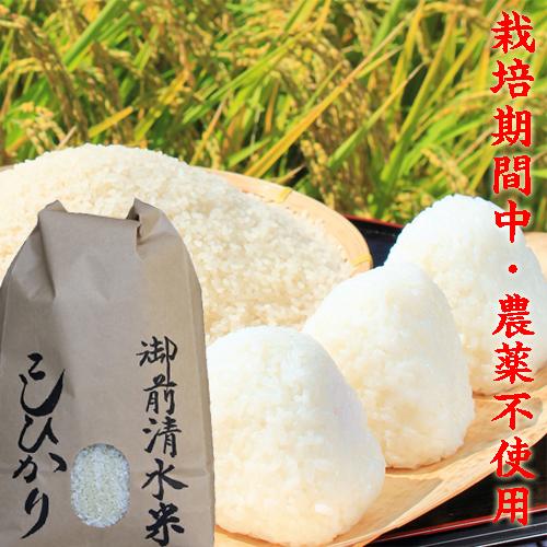 新米 令和5年 新潟産 コシヒカリ 5kg 送料無料 御前清水米 栽培期間中農薬不使用 有機肥料１００％栽培