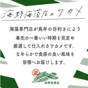 ふるさと納税 しゃきしゃき 湯通し塩蔵わかめ 1.5kg （300g×5パック） 国産 三陸産 海野海藻店 わかめ 塩蔵わかめ 湯通し不要 茨城県大洗町