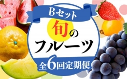 フルーツ定期便 旬のフルーツセット   いちご ビワ スイカ ぶどう アールスメロン 柑橘類 南島原市   長崎県農産品流通合同会社 [SCB066]