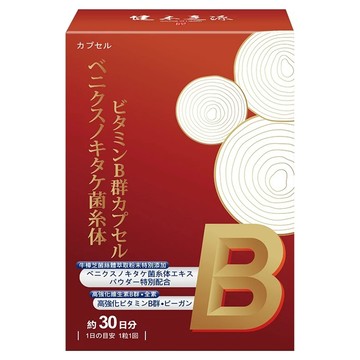 Source of Health 健本之源 台灣公司貨 牛樟芝菌絲體維生素B群膠囊  1個  30顆