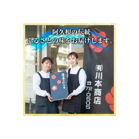 ふるさと納税 akune-4-21 鹿児島県阿久根市産干物！新鮮さ一番のり薩摩のひらきセット(9種)  阿久根市 国産 九州産 魚 魚介類 ひもの 乾物 .. 鹿児島県阿久根市