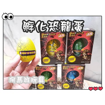 河馬班玩具-益智玩具-孵化恐龍蛋/膨脹玩具