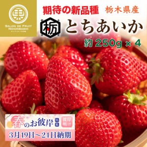 [予約 2024年2月11日-2月14日の納品] バレンタインデー とちあいか いちご 約250g×4パック 苺 栃木県産