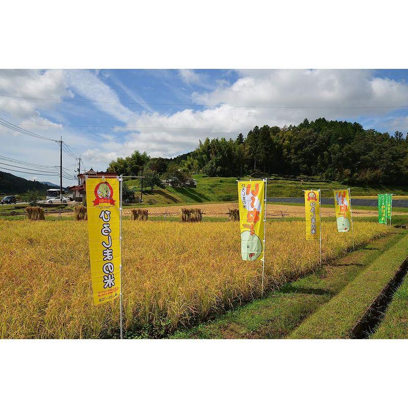 精米広島県産恋の予感 5kg 令和4年産