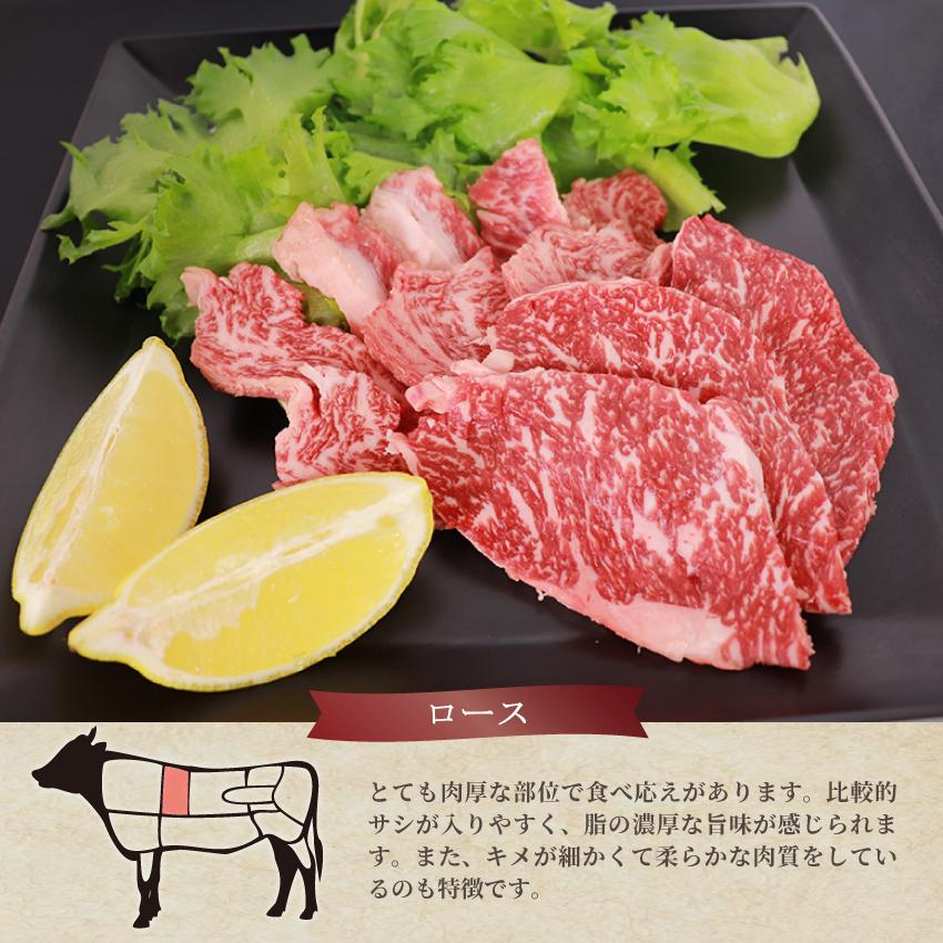 焼肉 焼き肉セット セット 肉 牛肉 プレミアムセット BBQセット 1kg 福袋 2023 ロース 食品 キャンプ キャンプ飯 熟成