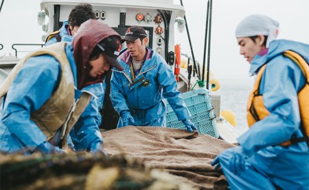 北海道 オホーツク サロマ湖産 殻付きカキ 生食可 8kg 牡蠣職人厳選