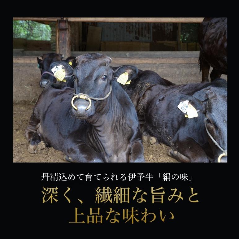 牛肉 伊予牛 絹の味 A4 黒毛和牛 和牛 ロース 焼肉用 500g 送料無料 (北海道・沖縄を除く) 2023 プレゼント