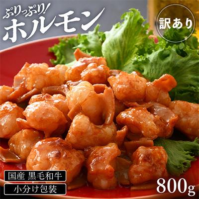 ふるさと納税 越前町 黒毛和牛 ぷりっぷりのホルモン 特製タレ味付き800g(200g×4袋) 小分け包装