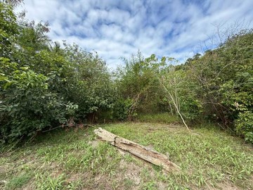 旗山#大衛營度假山莊#雙面臨路#休閒農地92193｜高雄市旗山區新大林段