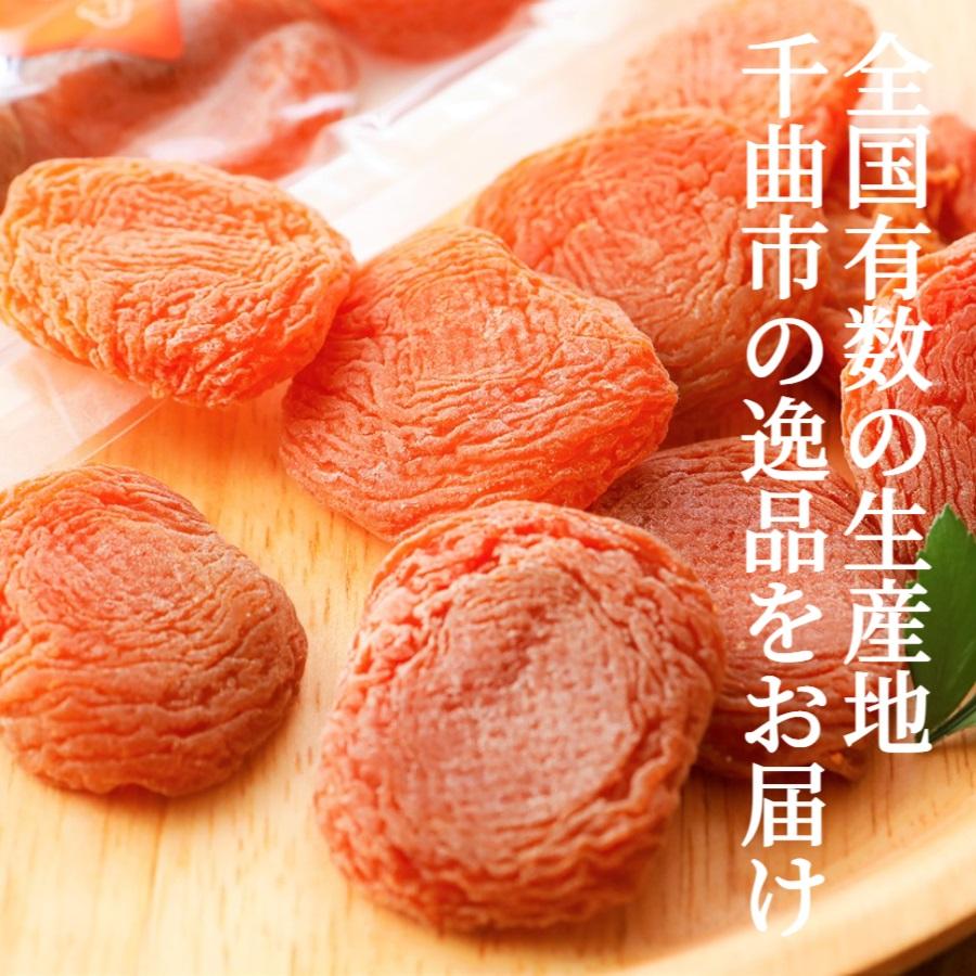 セミドライあんず (100g×1袋)