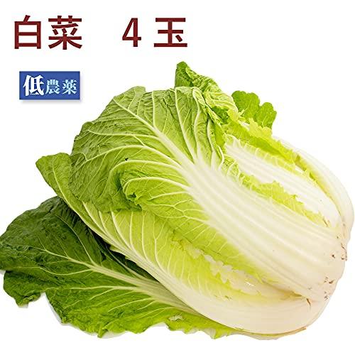 ベジタブルハート 白菜 4玉 低農薬栽培