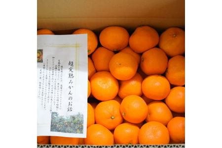 有田産樹上越冬完熟みかん5kg（2S～Mサイズ混合・赤秀） ※2024年1月下旬～2月中旬頃に順次発送予定 ※着日指定不可