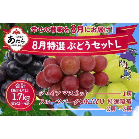 ふるさと納税 8月特選 ぶどうセットL 1.7kg以上（3〜4房）／ 葡萄 シャインマスカット シャイン 品種 おまかせ あわら 農家おすす.. 福井県あわら市