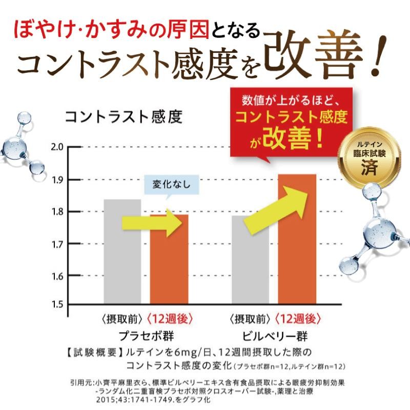 ルテイン サプリメント アイケア 目 ドライ めなり極 ブルーベリー