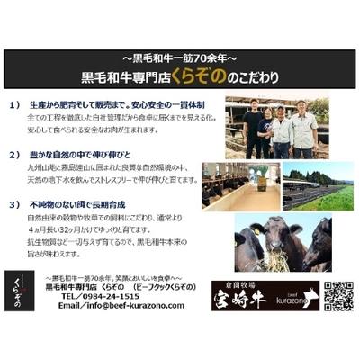 ふるさと納税 黒毛和牛サーロインステーキ　2枚セット 宮崎県小林市