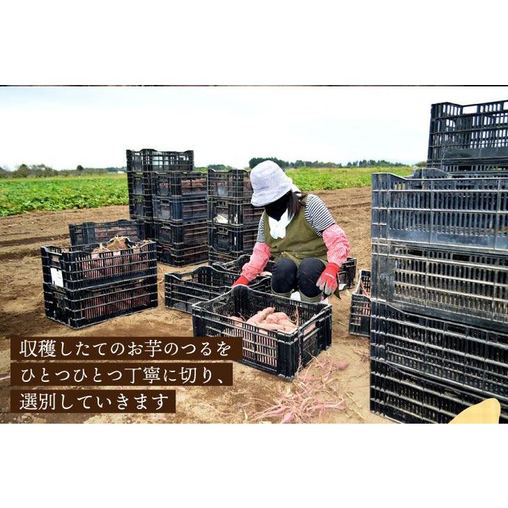 原農園400g×5袋セット　お芋だけでこの甘さ。びっくりするほど甘い蜜たっぷりの焼き芋。国富金時 蜜芋  送料無料