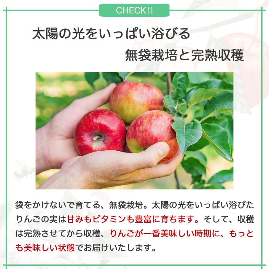 りんご 産地直送 岩手県産 ふじ 2kg 5-6玉入り サンふじ 秀品 贈答 ギフト 農家直送 林檎 リンゴ 果物 無袋栽培 樹上完熟