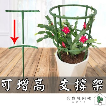 【台灣現貨-可疊加高】花架 植物支撐桿 固定攀爬架 長爬藤架 園藝造型支架 花卉支架 植物支撐 花盆支架 園藝支撐架