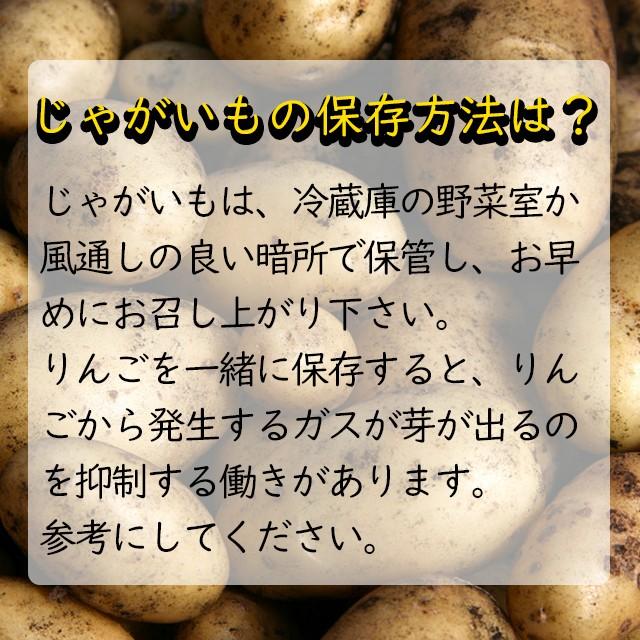 出荷開始中 新じゃがいも じゃがいも 送料無料 北海道旭川 平田農場のじゃがいも（とうや・男爵・キタアカリ・メークイン）Lサイズ 10kg   産地直送