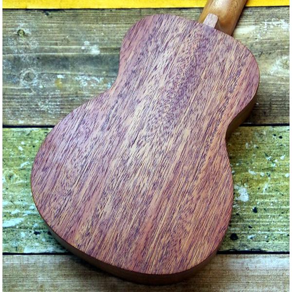 aNueNue RainbowUkulele Lumi Thunder Mahogany II aNN-TM2