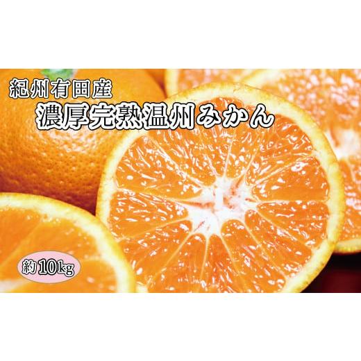 ふるさと納税 和歌山県 太地町 完熟有田みかん　10kg　※2023年11月下旬〜2024年1月下旬頃に順次発送予定(お届け日指定不可)