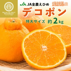 [予約 2024年2024年1月下旬頃から発送] デコポン 不知火 約2kg 特大 愛媛県産 果実専用箱 上級品