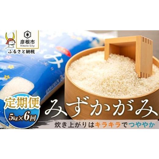 ふるさと納税 滋賀県 彦根市 JA東びわこ みずかがみ　5kg×6ヵ月連続でお届け