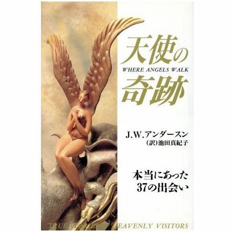 天使の奇跡 本当にあった３７の出会い ノン ブック ジョアン ウェスターアンダースン 著者 池田真紀子 訳者 通販 Lineポイント最大0 5 Get Lineショッピング