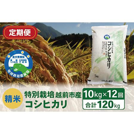 ふるさと納税 〈先行予約〉（令和5年度新米 精米）特別栽培 越前市産コシヒカリ 10kg×12回 福井県越前市