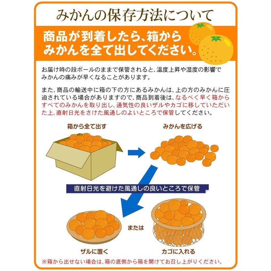 みかん 10kg 熊本産 こたつみかん ご家庭用 送料無料 食品