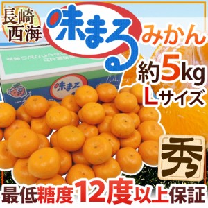 長崎 西海 ”味まるみかん” 秀品 Lサイズ 約5kg 最低糖度12度保証 送料無料